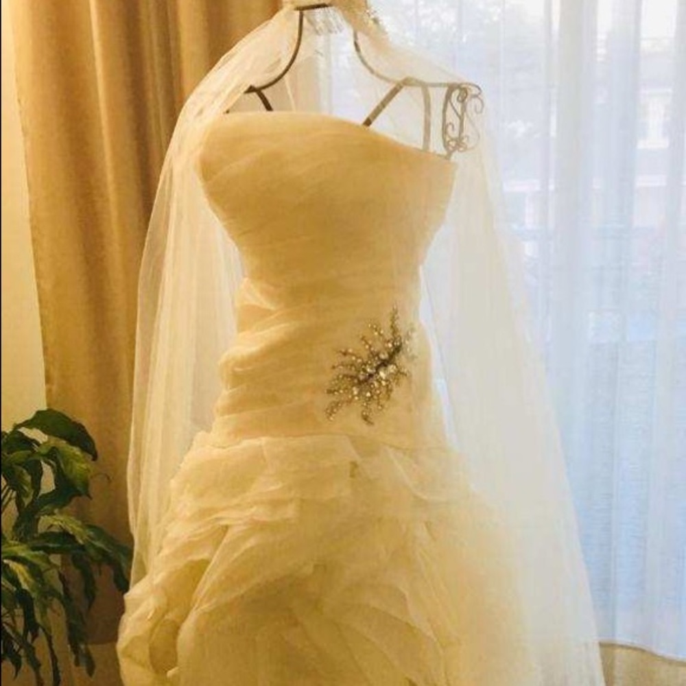 Unique Vera Wang wedding dress